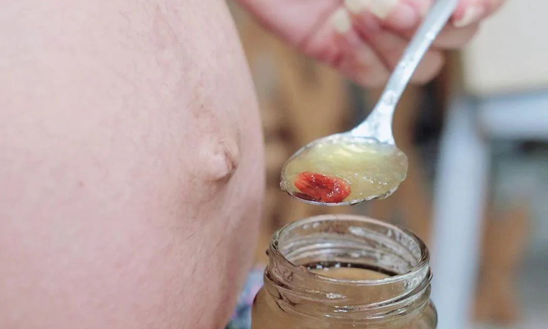 How To Consume Birds Nest During Pregnancy - The Purest Co (SG)