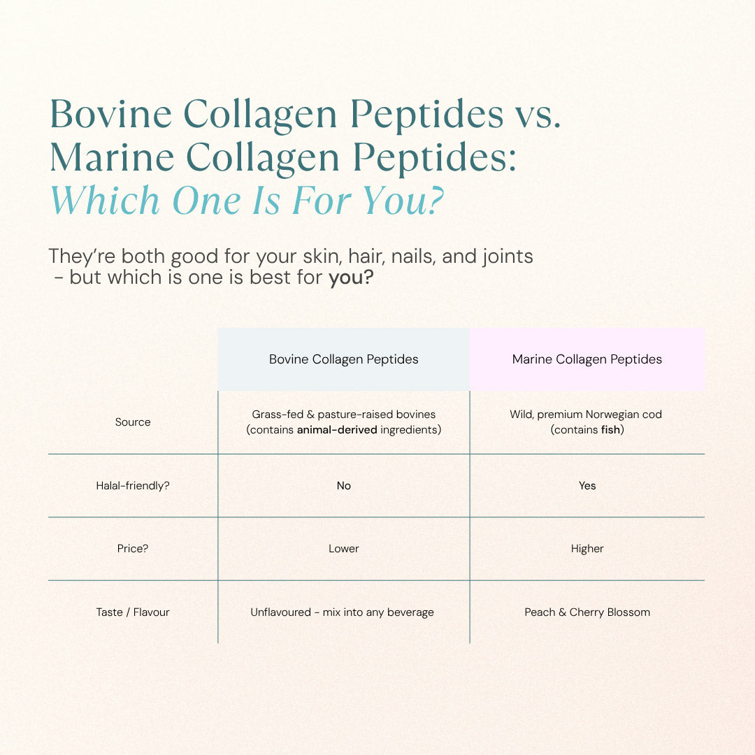 Bovine Collagen Peptides