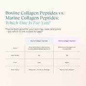 Bovine Collagen Peptides