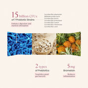 Daily Pre+Probiotic Melts Halal