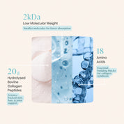 Bovine Collagen Peptides