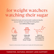 Bestsellers Zero Bundle