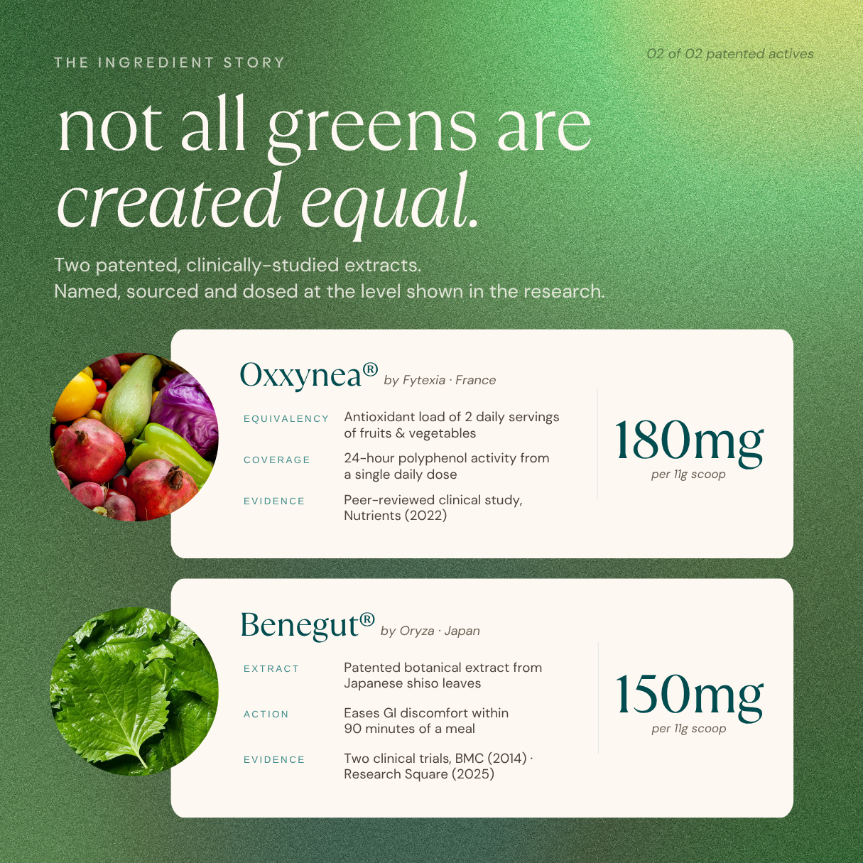 Daily Supergreens Blend