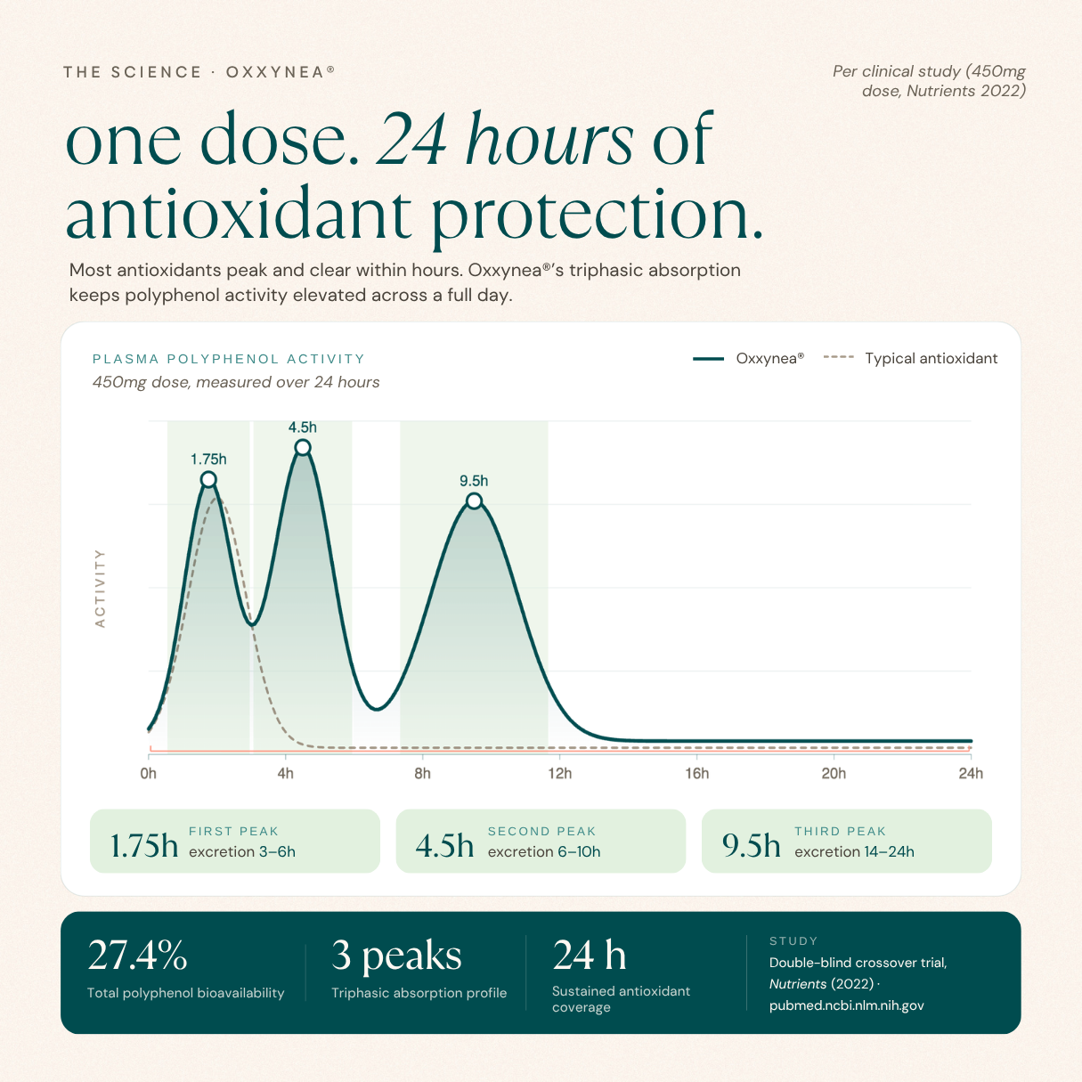 Daily Supergreens Blend