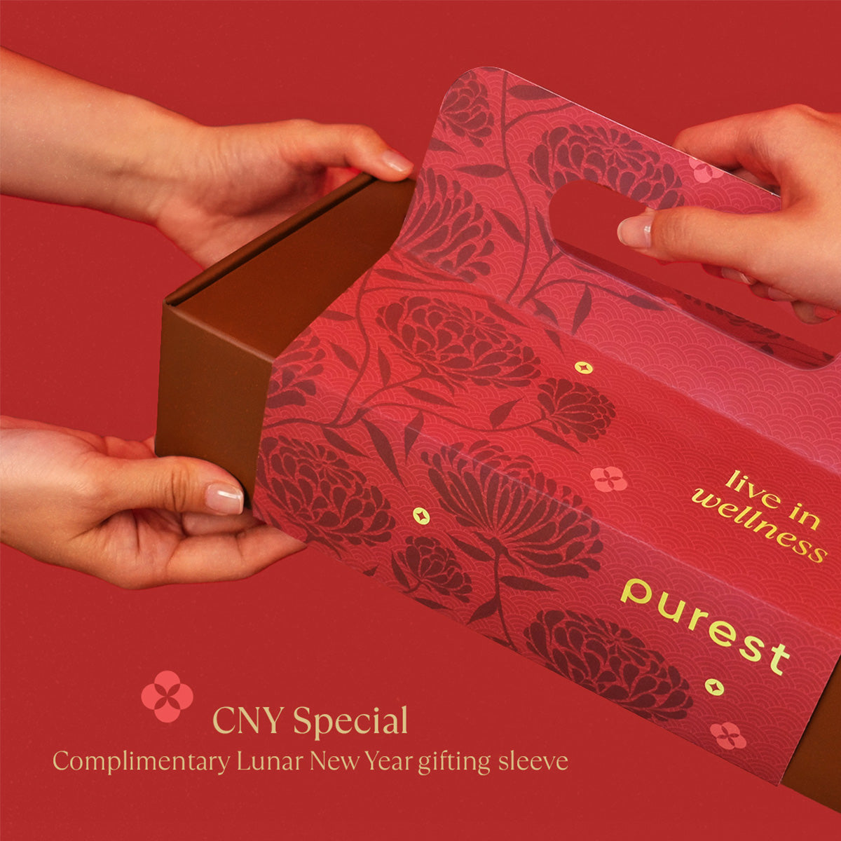CNY_Sleeve_Gifting_Sleeve_copy.jpg